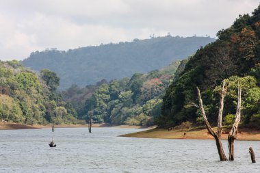 Lake Periyar Milli Parkı'nda