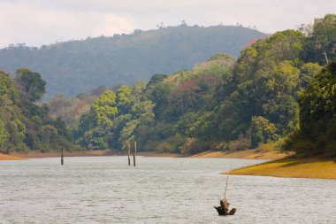 Lake Periyar Milli Parkı'nda
