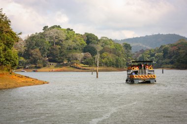 Lake Periyar Milli Parkı'nda