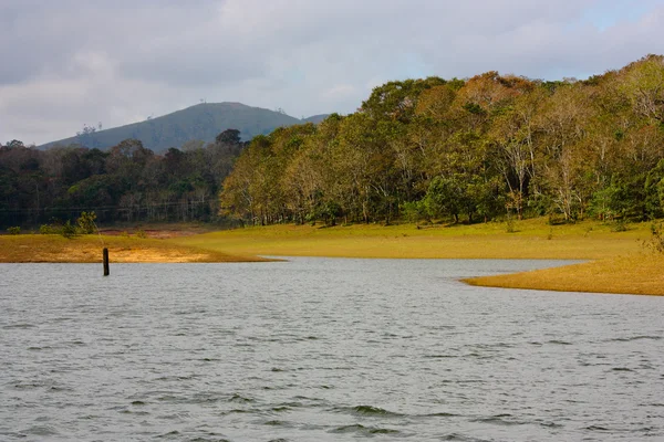 Lago no Parque Nacional Periyar — Fotografia de Stock