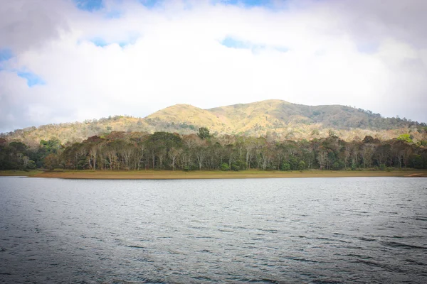 Lake Periyar Milli Parkı'nda — Stok fotoğraf