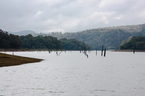 Lago en el Parque Nacional Periyar — Foto de Stock