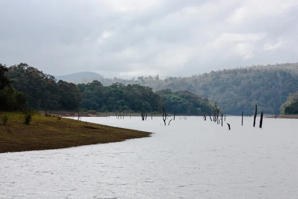 Lake in Periyar Nationaal Park — Stockfoto