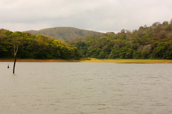 Jezero v Periyar národního parku — Stock fotografie