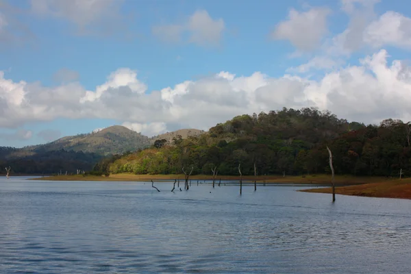 Lago no Parque Nacional Periyar — Fotografia de Stock