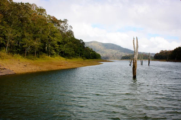 Lake Periyar Milli Parkı'nda