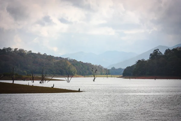 Lake in Periyar Nationaal Park — Stockfoto