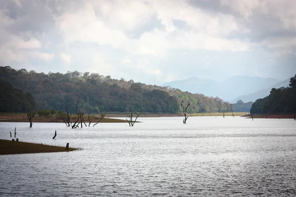 Lake in Periyar Nationaal Park — Stockfoto