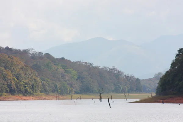 Lago en el Parque Nacional Periyar — Foto de Stock