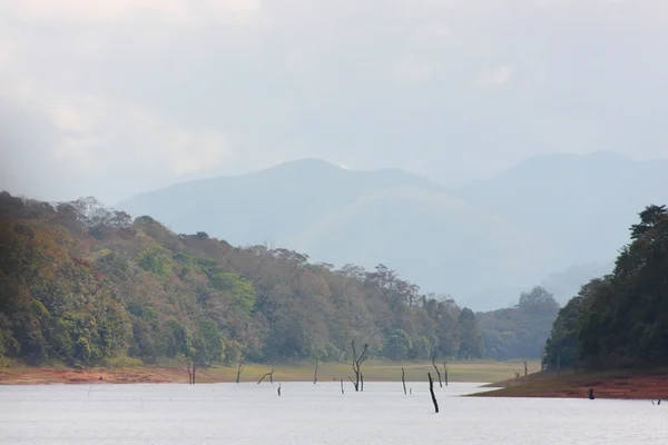 Lake in Periyar National Park — Stock Photo, Image