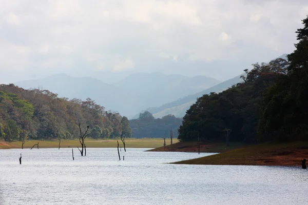 Lake in Periyar Nationaal Park — Stockfoto