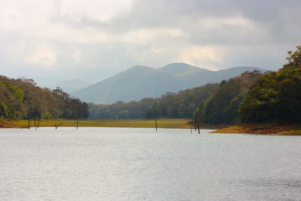 Lake in Periyar National Park — Stock Photo, Image