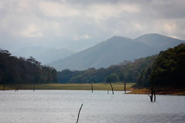 Lago en el Parque Nacional Periyar — Foto de Stock