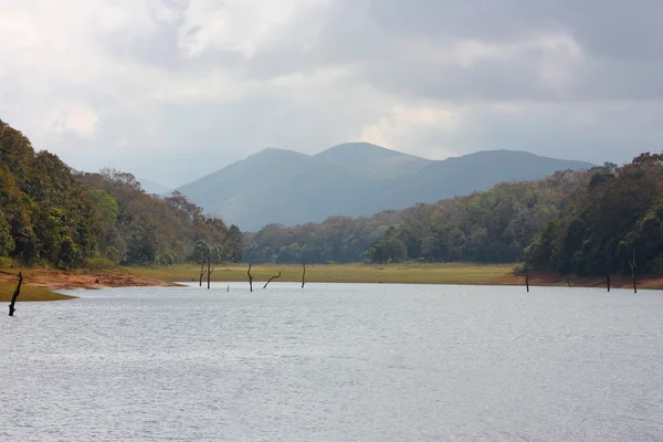 Lake in Periyar Nationaal Park — Stockfoto