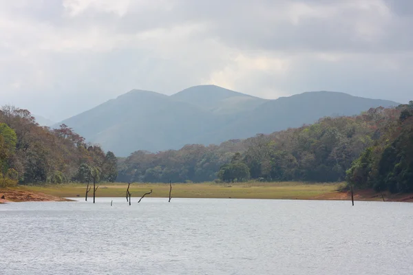 Lago no Parque Nacional Periyar — Fotografia de Stock