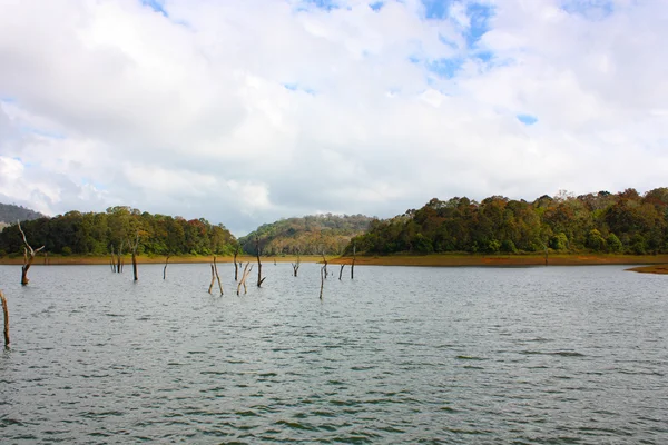 Lake in Periyar Nationaal Park — Stockfoto