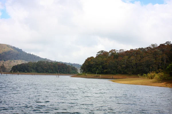 Lake Periyar Milli Parkı'nda — Stok fotoğraf