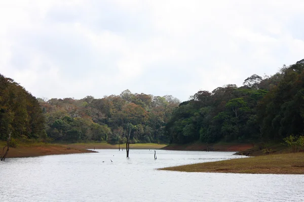 Lago no Parque Nacional Periyar — Fotografia de Stock