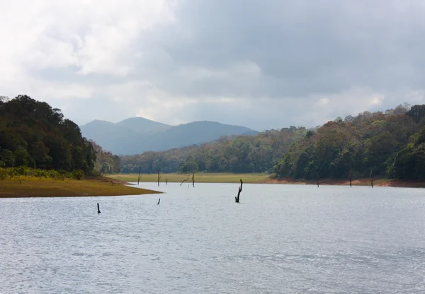 Lake in Periyar Nationaal Park — Stockfoto