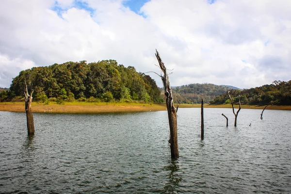 Lake in Periyar National Park — Stock Photo, Image