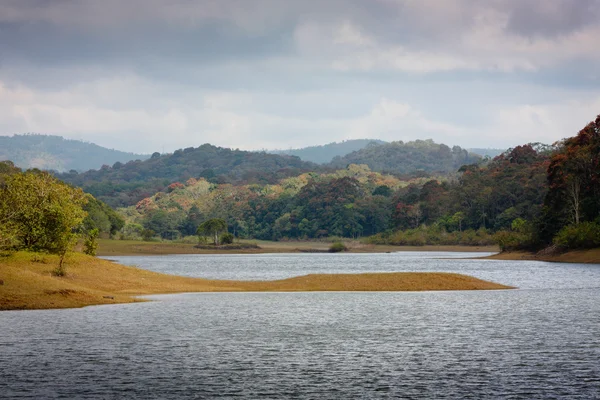 Lake in Periyar Nationaal Park — Stockfoto