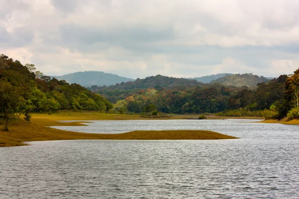 Lake in Periyar Nationaal Park — Stockfoto