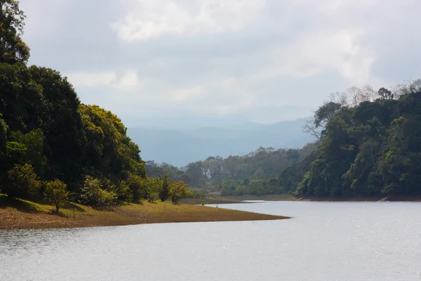 Lago en el Parque Nacional Periyar — Foto de Stock