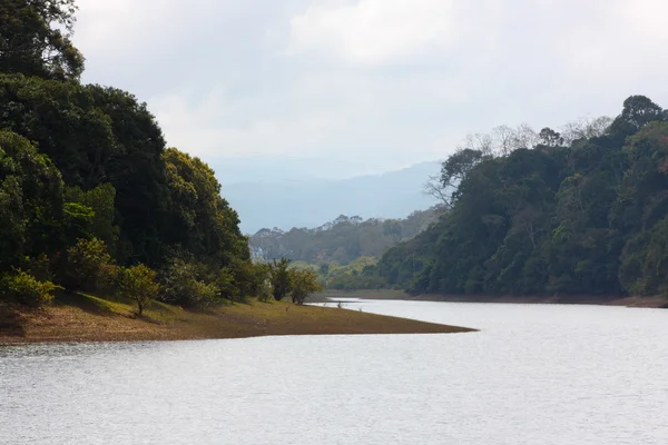 Lago en el Parque Nacional Periyar — Foto de Stock