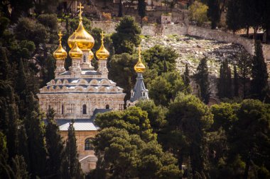 Mary Magdalene s Katedrali üzerinde göster