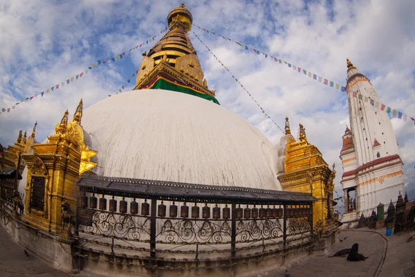 Swayambhunath stupa aufgenommen im kathmandu — Stockfoto