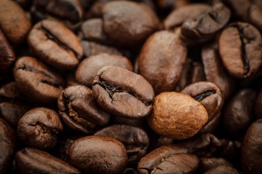 Kavrulmuş kahve çekirdeği.