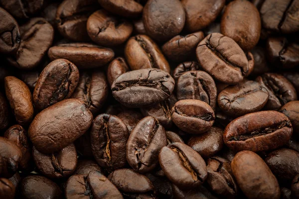 Granos de café tostados — Foto de Stock