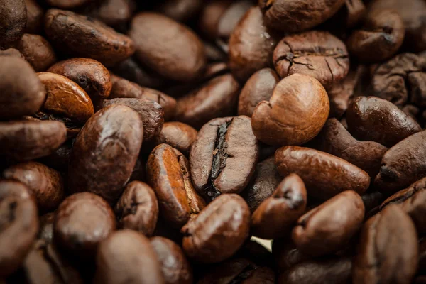 Rostade kaffebönor — Stockfoto