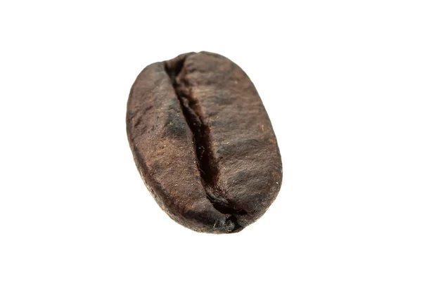 Egyetlen kávébab — Stock Fotó