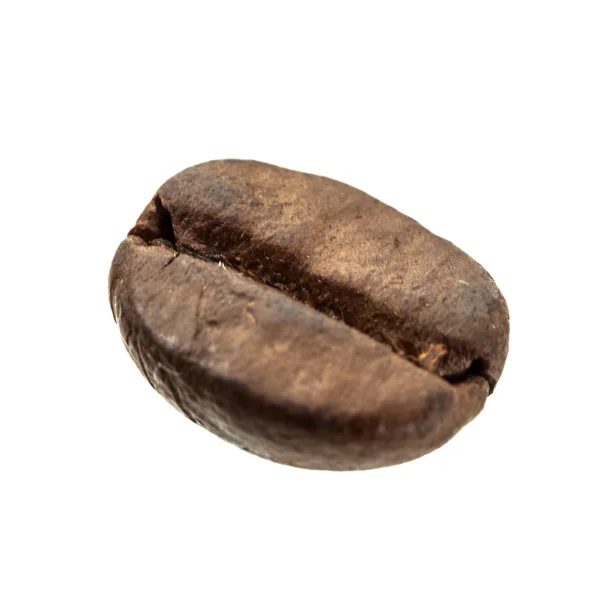 Één koffie bean — Stockfoto