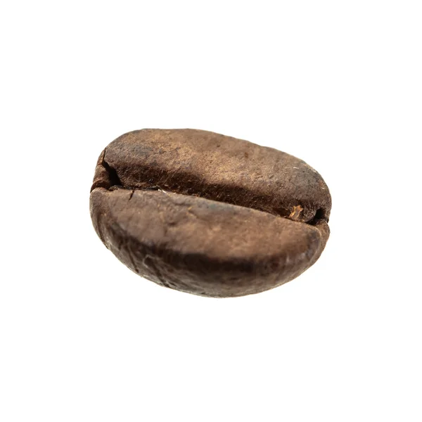 Één koffie bean — Stockfoto