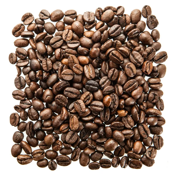 Arabica kaffebönor — Stockfoto