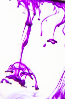 Menekşe sıvı su içinde