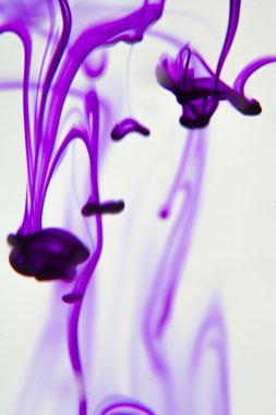 Menekşe sıvı su içinde