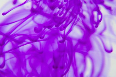 Menekşe sıvı su içinde