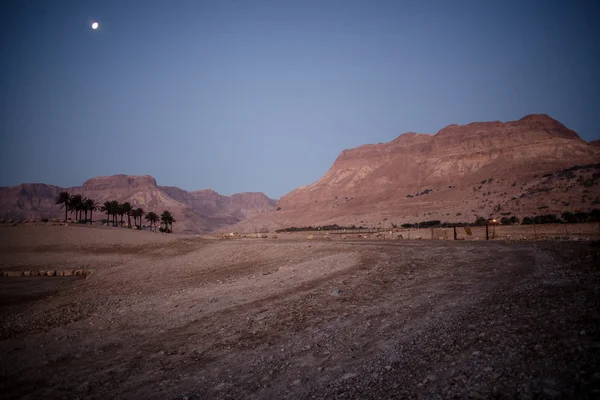 Izrael kamenná poušť — Stock fotografie