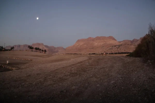 Israel Desierto de piedra — Foto de Stock