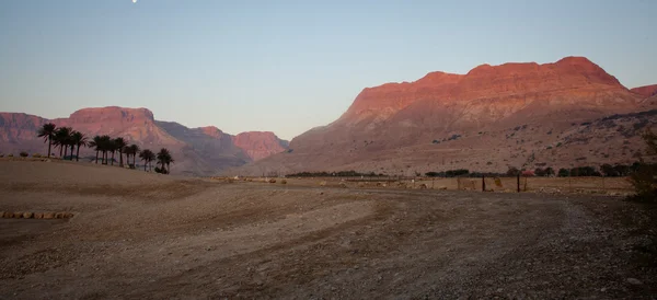 Israël Stone woestijn — Stockfoto