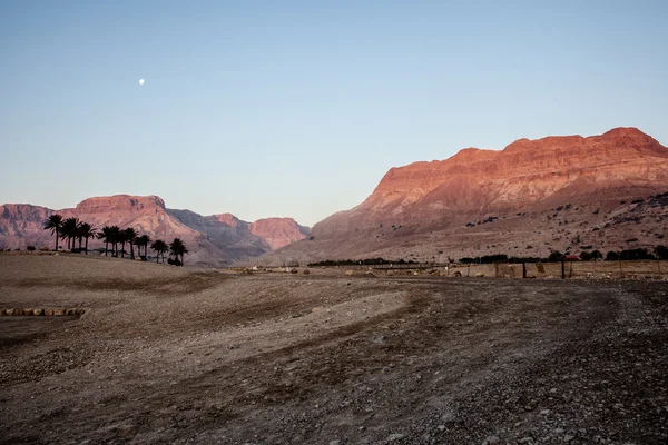 Israël désert de pierre — Photo