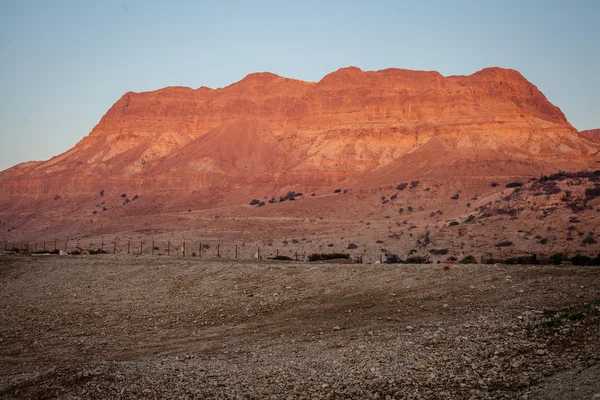 Deserto de pedra de Israel — Fotografia de Stock