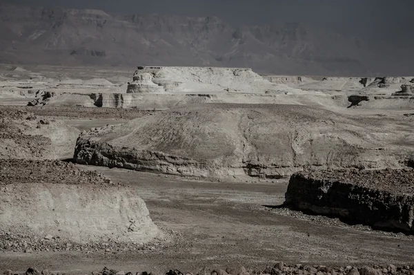 Pohled z pevnosti Masada — Stock fotografie