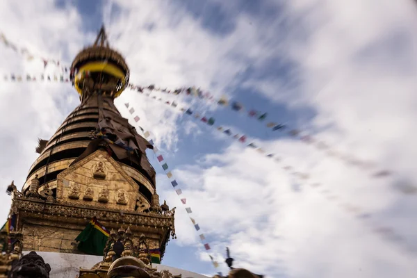 Swayambhunath stupa, kathmandugrande aranha marrom no fundo branco — Fotografia de Stock