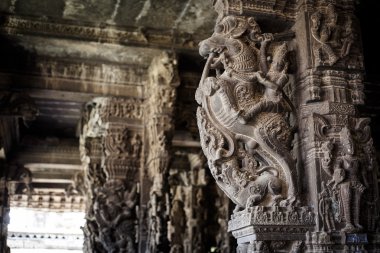 Antik taş oymalar Varadaraja Tapınak