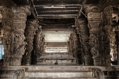 Antik taş oymalar Varadaraja Tapınak