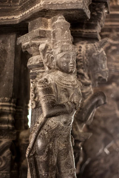 Ancient stone carvings in Varadaraja Temple — Stock Photo, Image